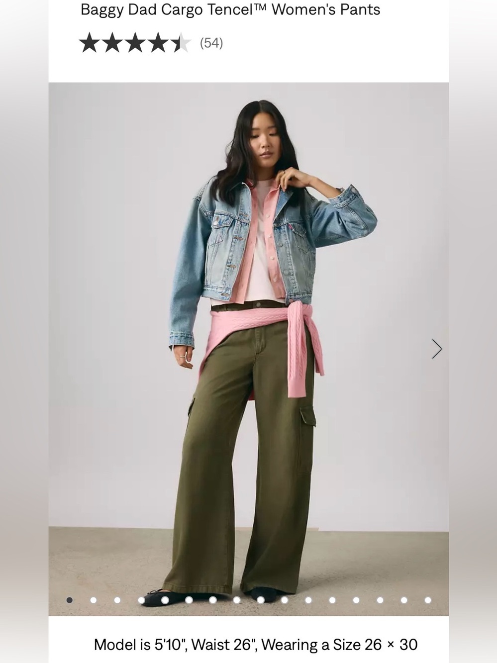 NWT Levis Baggy Dad Cargo